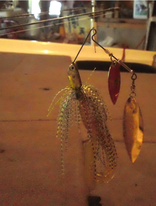 Bait & Tackle Shops -Chautauqua Lake