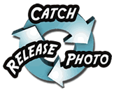 Catch-Photo-Release - Better Half Tour
